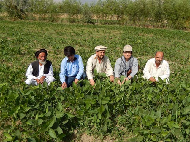 Success of Korea’s Rural Development Program Applicable to Afghanistan